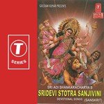 Sridevi Stotra Sanjivini - Aarif Khan Song Download